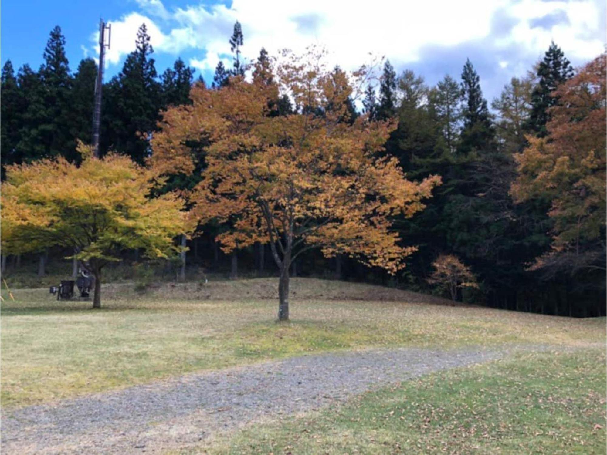 Polar Haus Minamikaruisawa1 - Vacation Stay 88000V 軽井沢町 エクステリア 写真