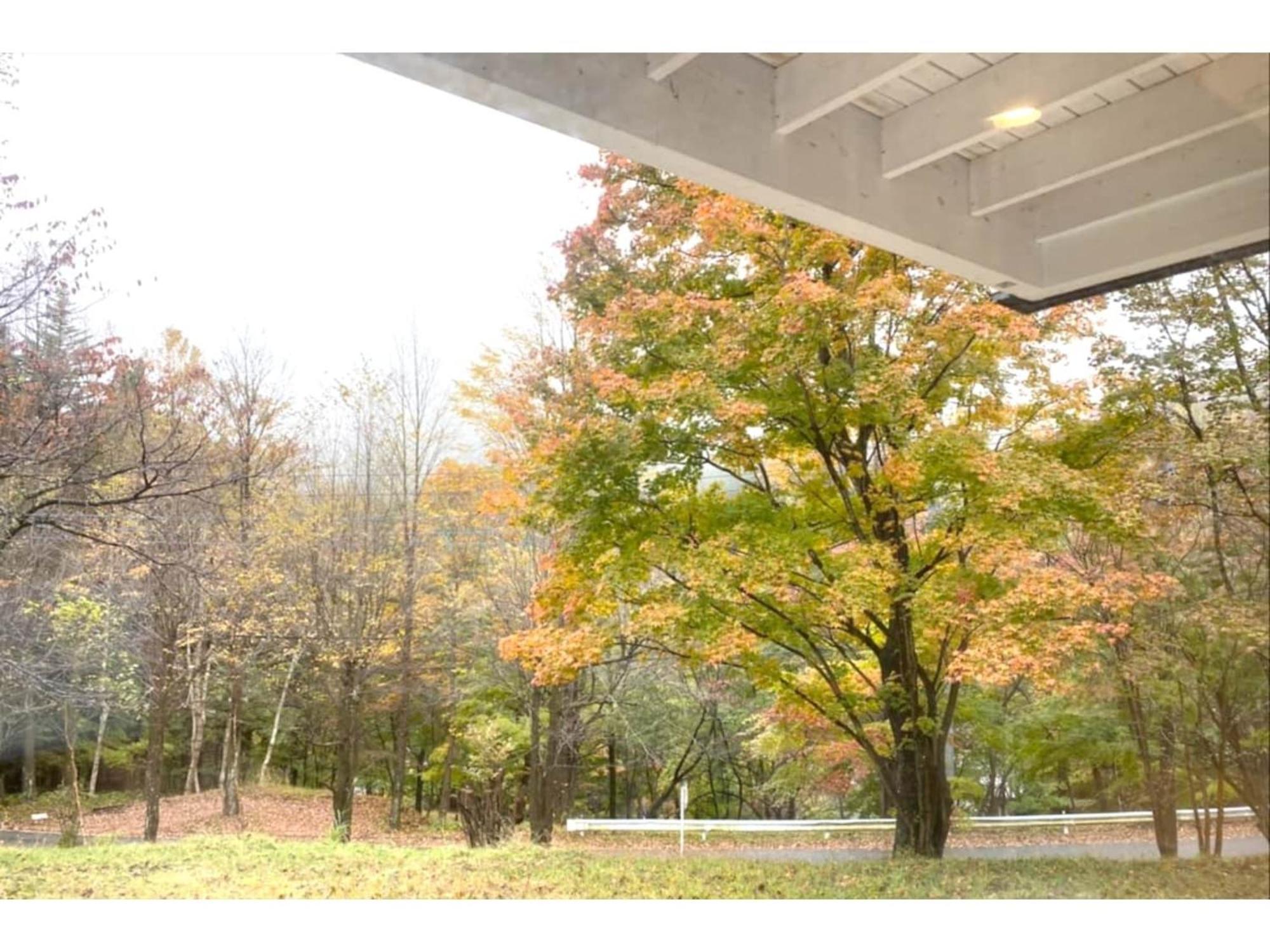 Polar Haus Minamikaruisawa1 - Vacation Stay 88000V 軽井沢町 エクステリア 写真